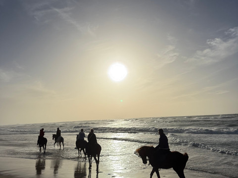 Ranch Des Dunes-达赫拉必去景点