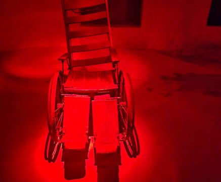 Bulldog Tours-查尔斯顿必去景点