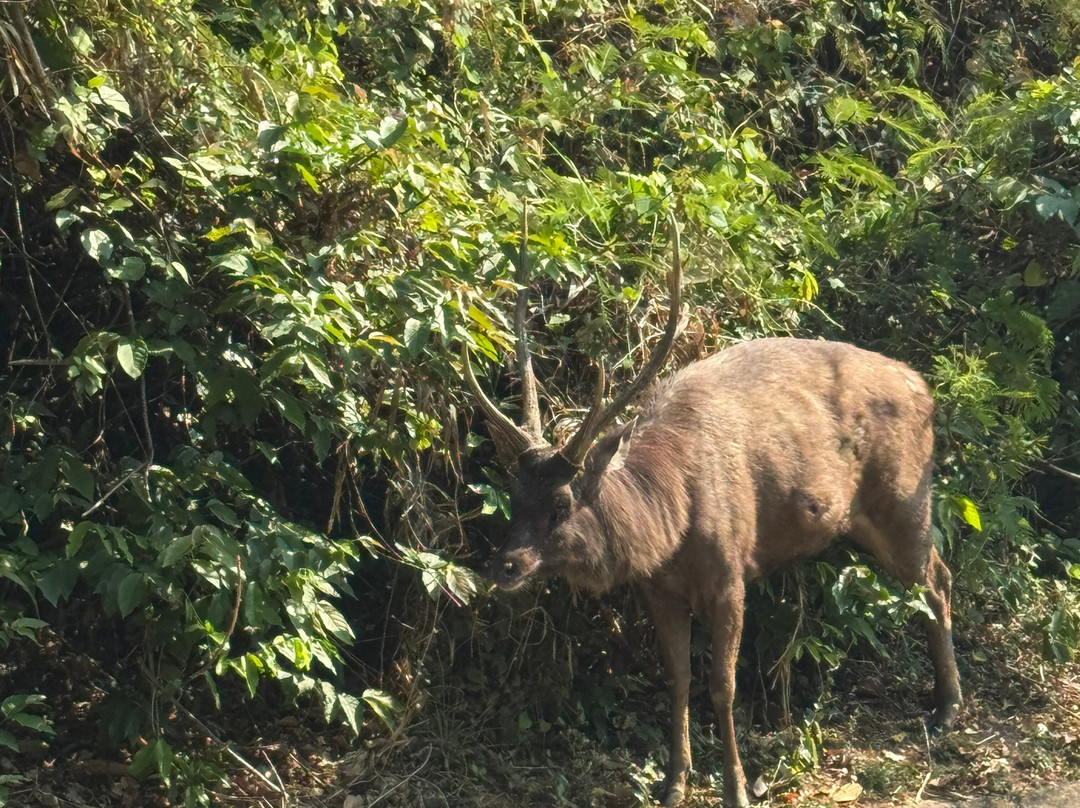 考艾自然生活及旅游酒店主图