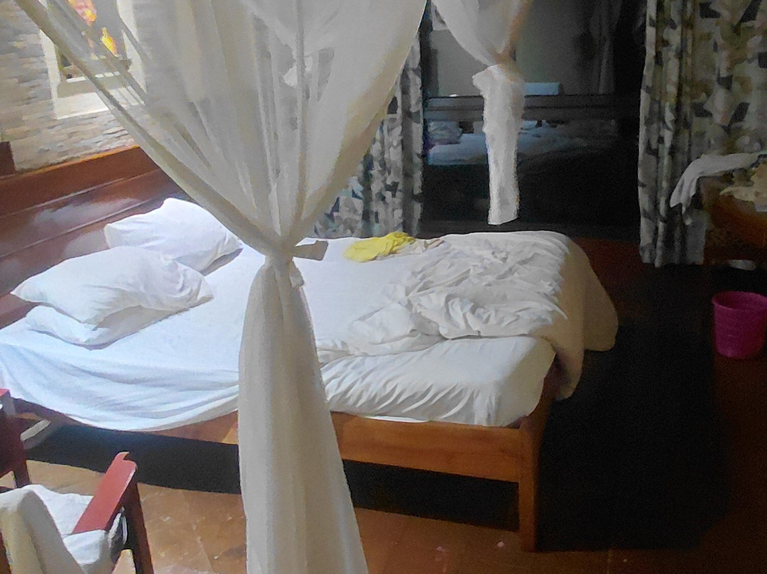 Southern Sky Safaris-马林地必去景点