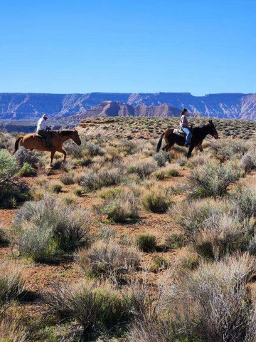 Shelleys Custom Horse Tours-Virgin必去景点