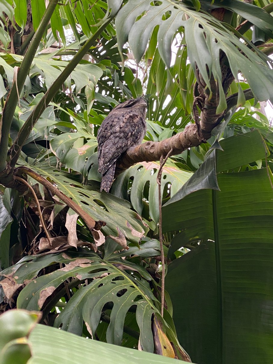 棕榈海滩住宿加早餐旅馆-酒店景观