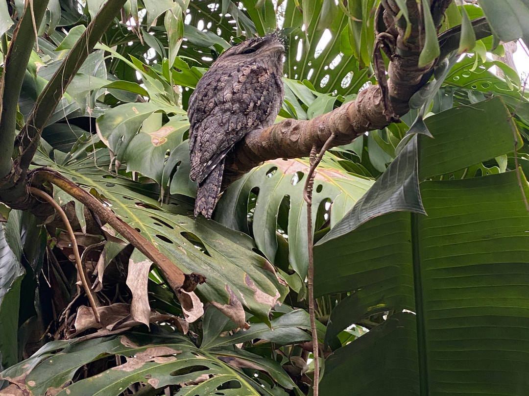 棕榈海滩住宿加早餐旅馆主图