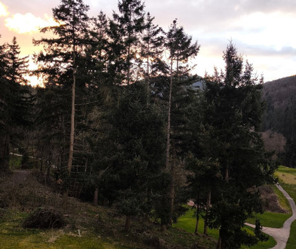 球场住宅酒店主图