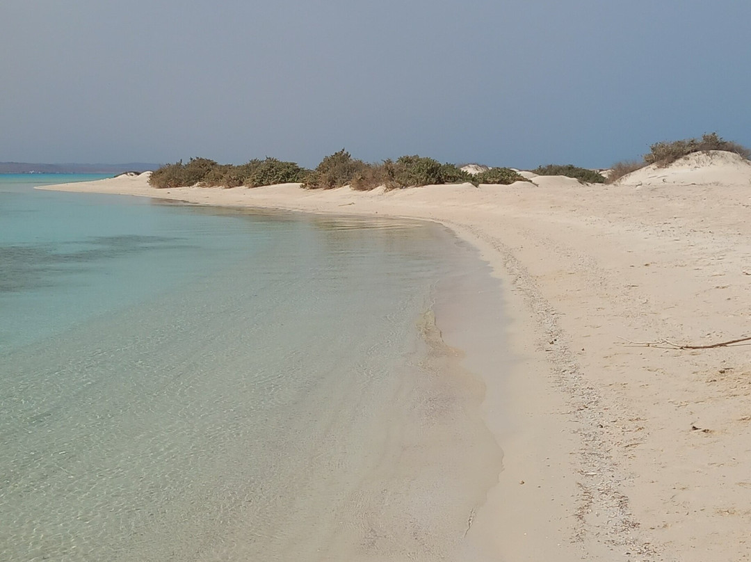 Wadi El Gemal National Park-马萨阿拉姆必去景点