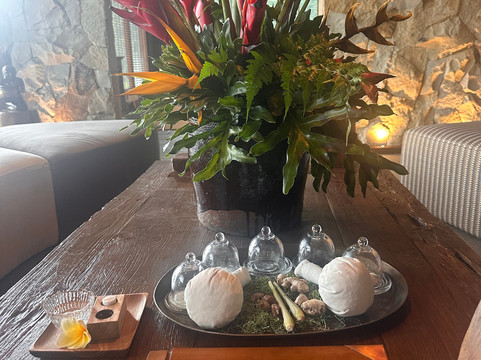 Ananda Spa by Samanvaya-席德门必去景点