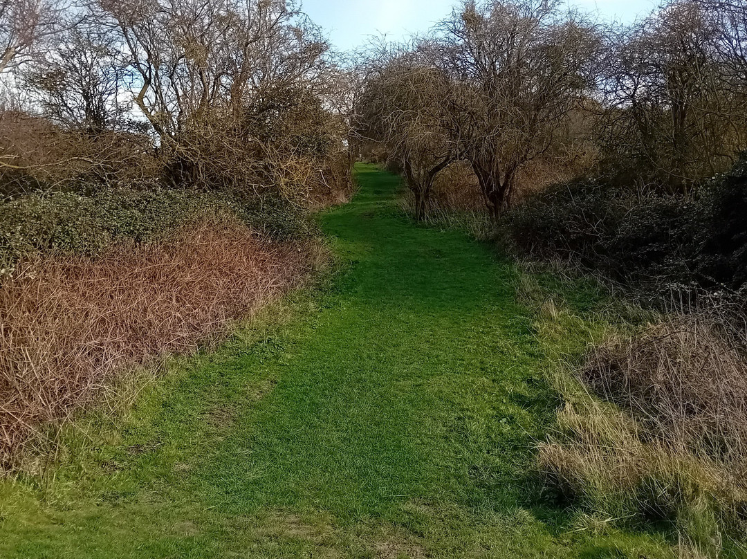 Walton On The Naze beach-Walton-on-the-Naze必去景点