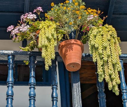 Balcones de la avenida Maritima-巴尔玛圣库鲁斯必去景点