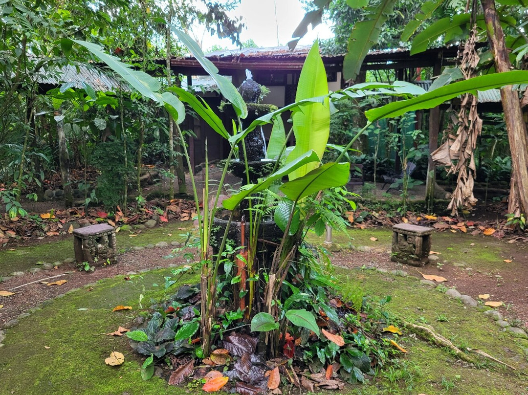 Chilamate Rainforest Eco Retreat主图