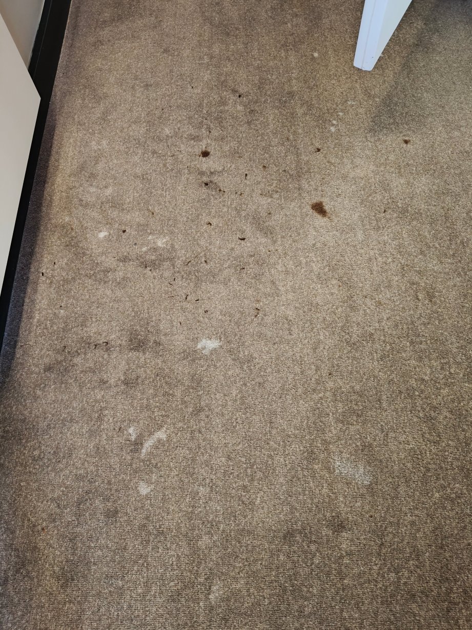 宜必思考文垂中心酒店-客卧