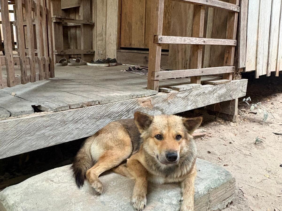Cambodia Wildlife Sanctuary-暹粒必去景点