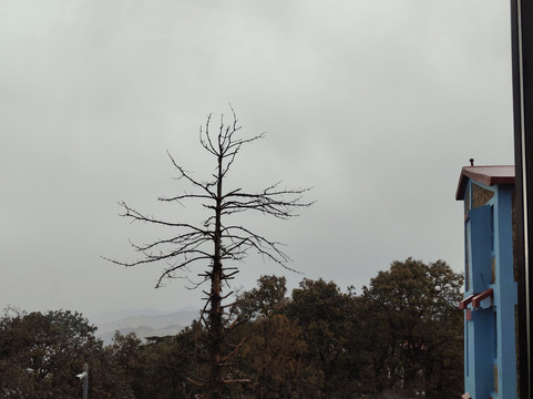 Chadwick House Museum