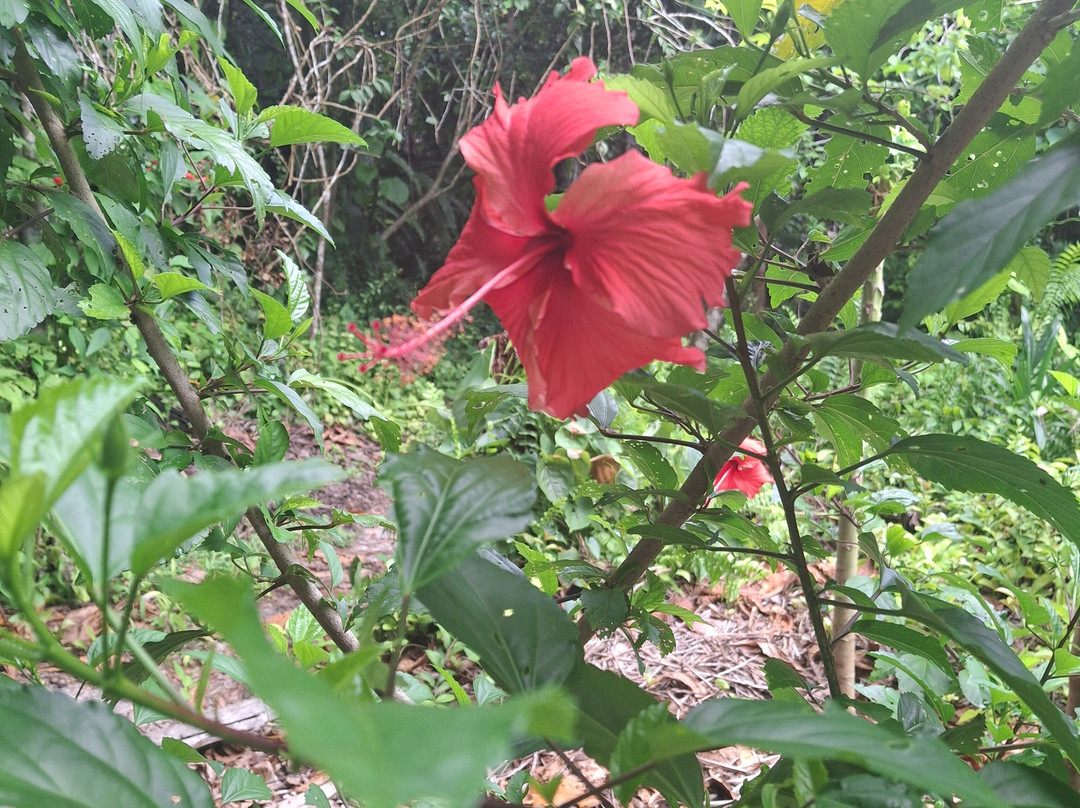 FANILO TOURS-Toamasina (Tamatave)必去景点