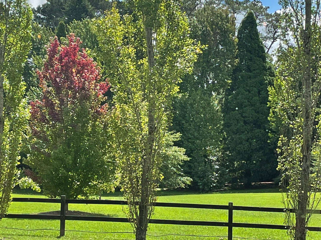 Bendooley Estate Book Barn-Berrima必去景点