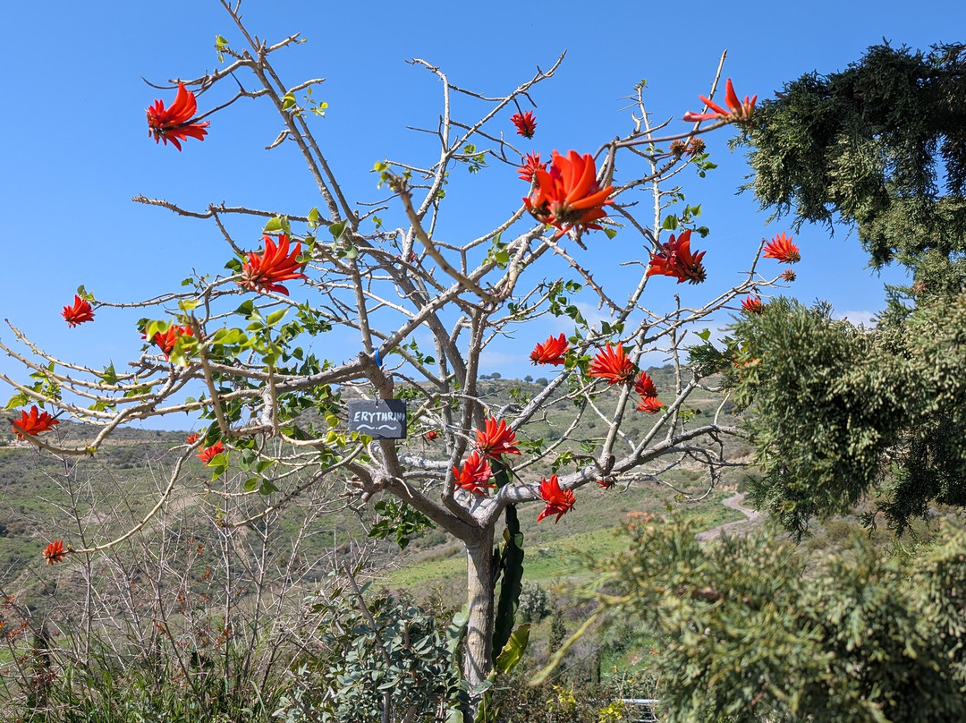 ADONIS Botanic Garden-Akoursos必去景点