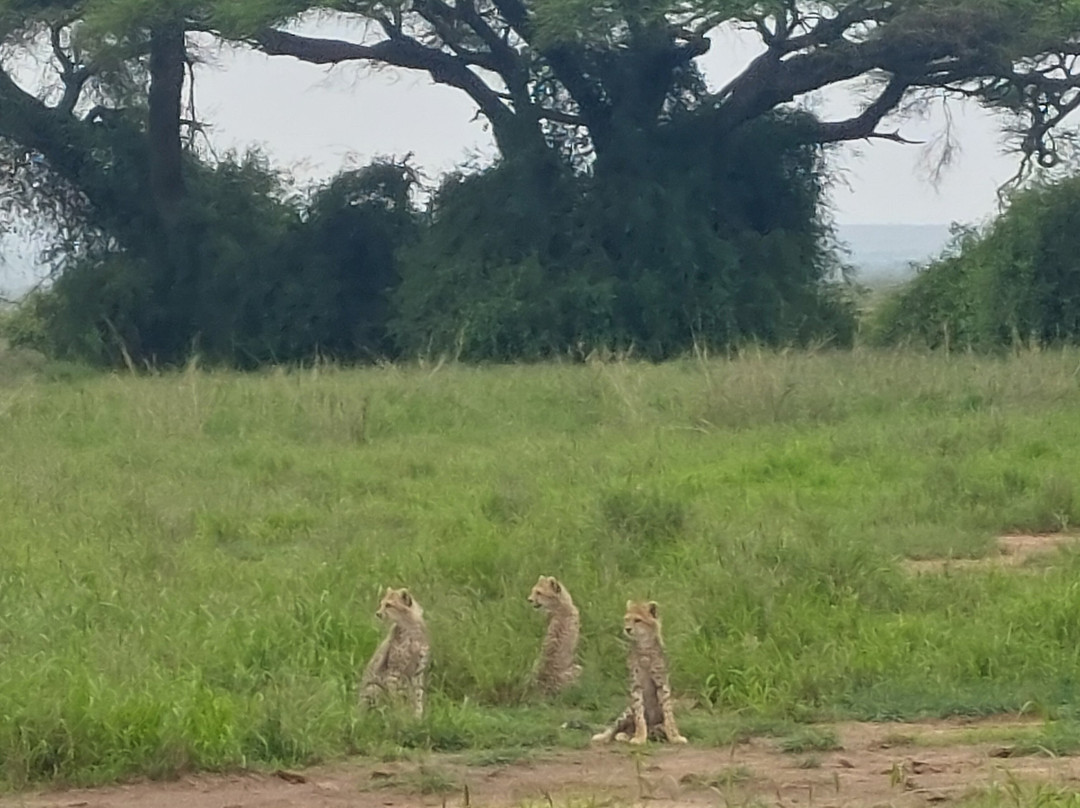 Roadtrip Africa-坎帕拉必去景点