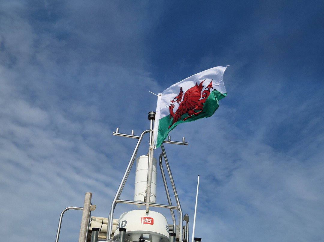 Dolphin Spotting Boat Trips (by New Quay Boat Trips)-纽基必去景点