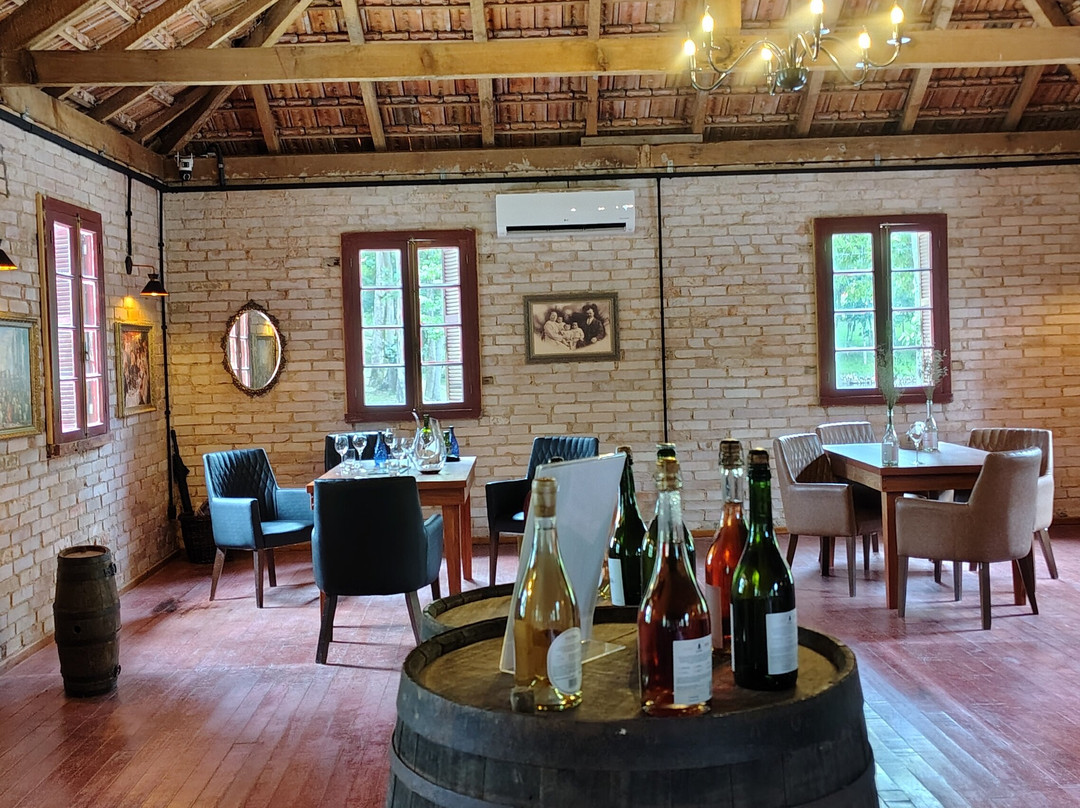 Vinicola Vita Eterna - Degustação e Wine Garden-Pinto Bandeira必去景点