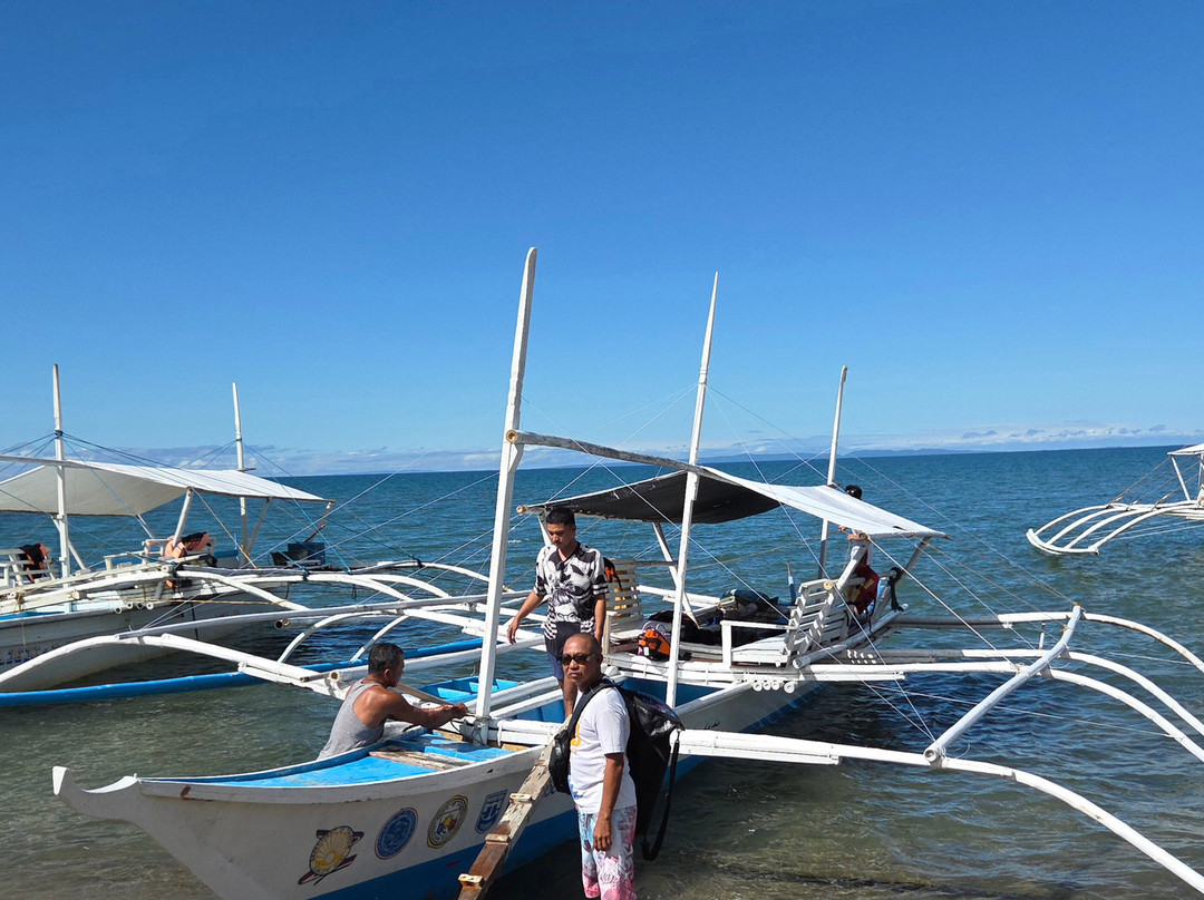 Donsol Whale Shark Interaction-栋索尔必去景点