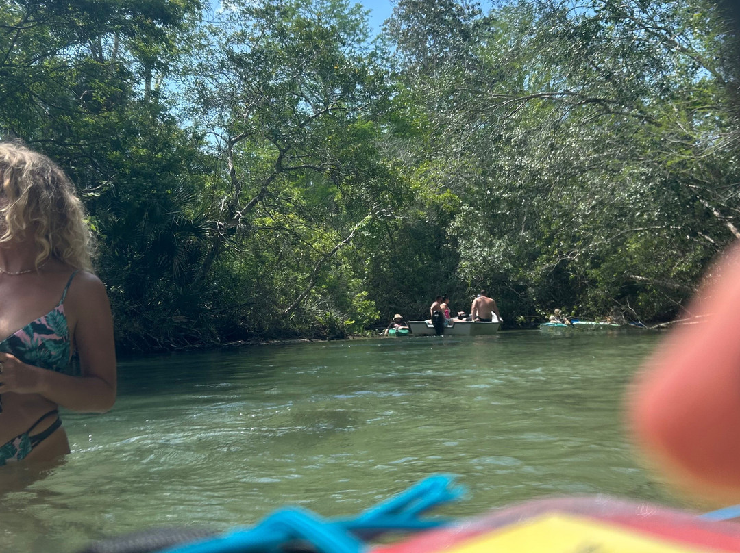 SUP Weeki (Stand Up Paddleboard)-Weeki Wachee必去景点