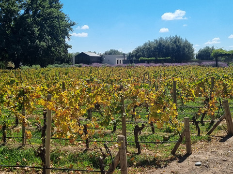 Finca El Paraíso - Bodega Luigi Bosca-Maipu必去景点