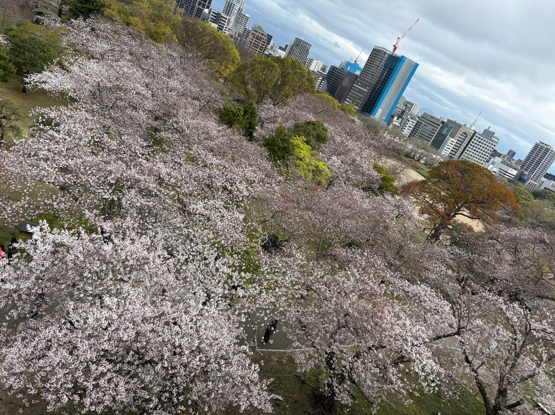 舞鹤公园-Chuo必去景点