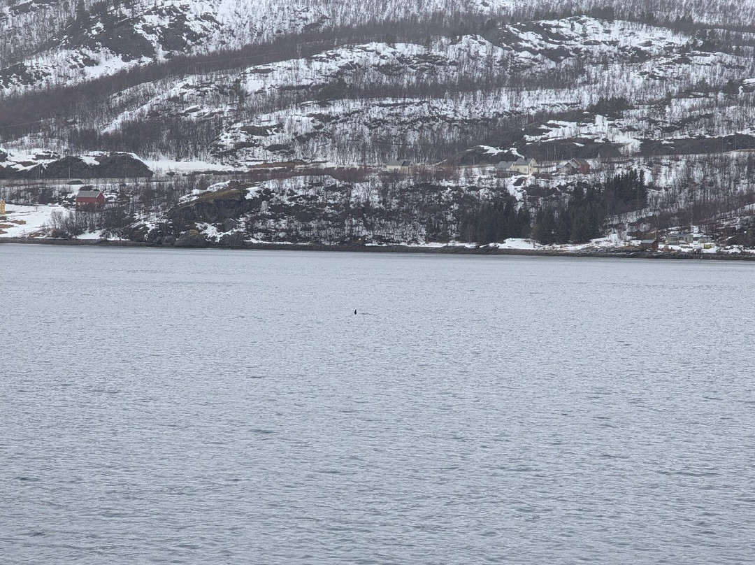 Finnmark Moods-阿尔塔必去景点