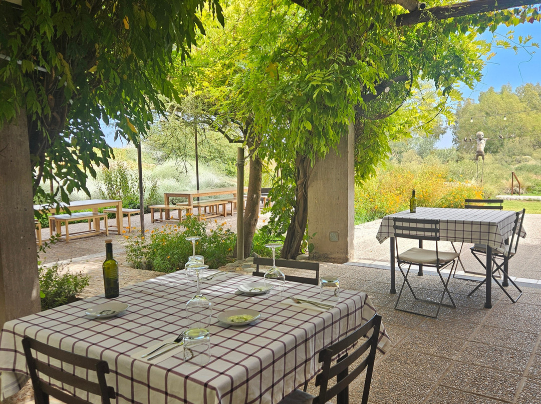 Mendoza Viagem-门多萨必去景点