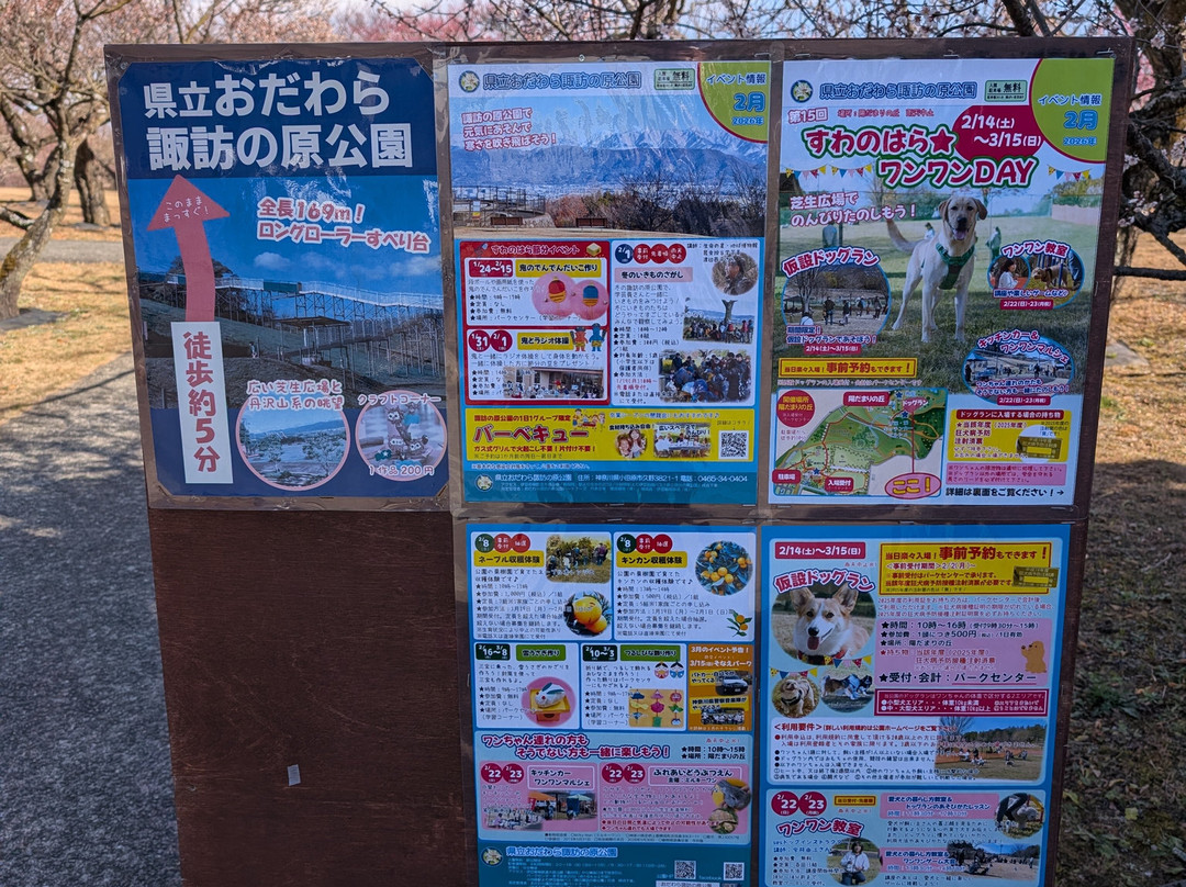 Odawara Flower Garden-小田原市必去景点