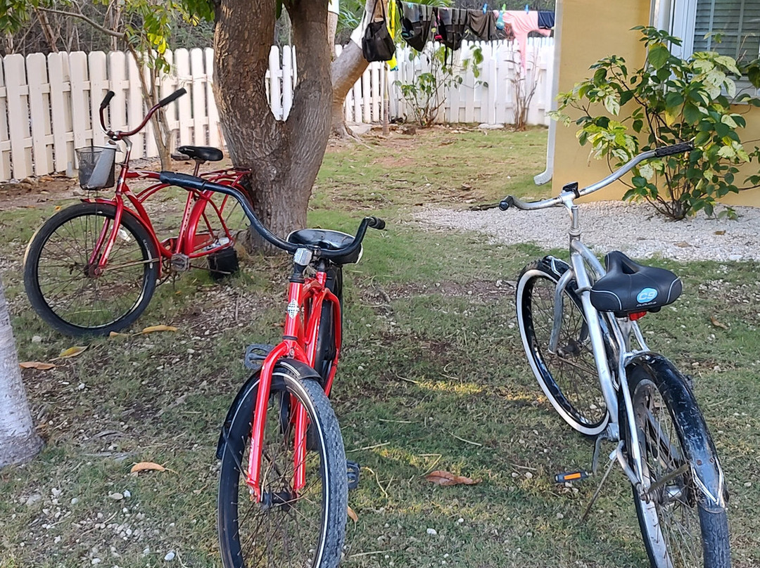 香格里拉精品民宿主图