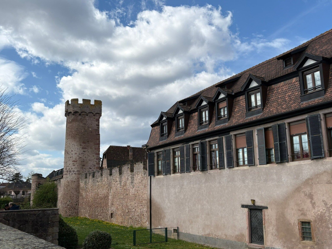 Parcours Historique d'Obernai-奥贝奈必去景点