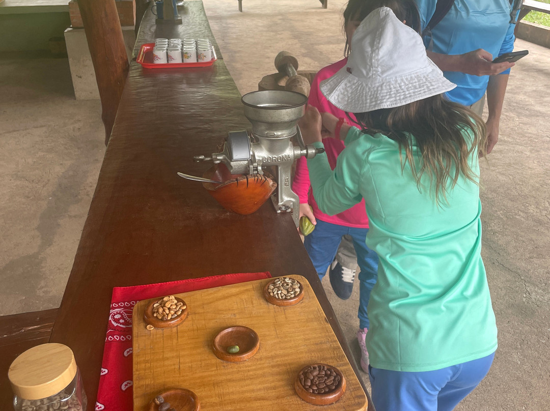 Conchal Adventures Costa Rica-孔查沙滩必去景点