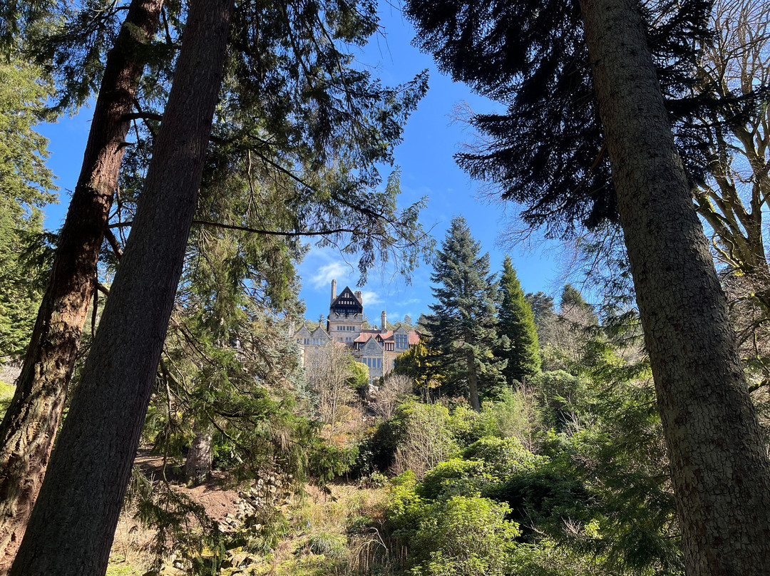Cragside House and Gardens-Rothbury必去景点