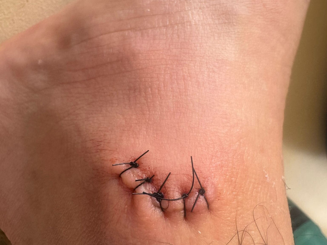 Les Jardins de Villa Maroc主图