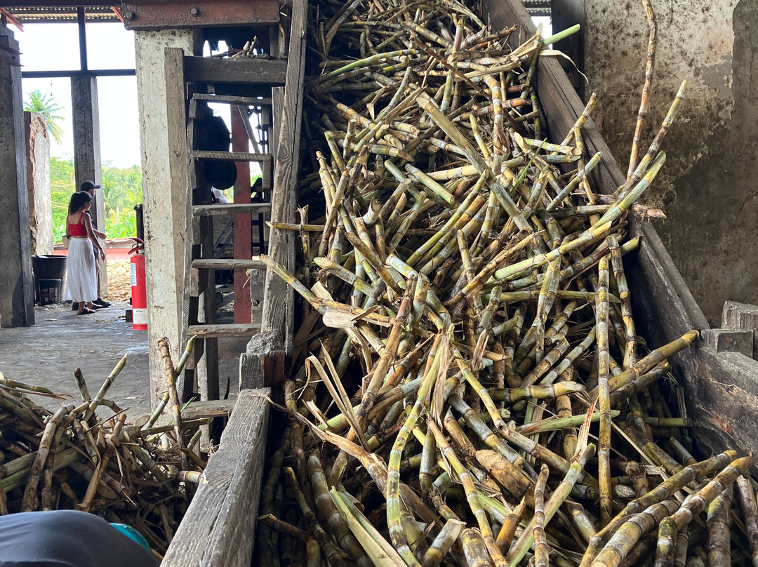 River Antoine Estate Rum Distillery-格林纳达必去景点