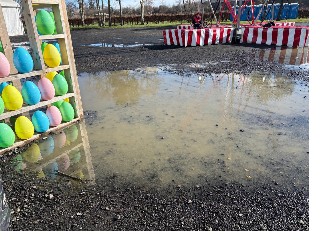 Conifox Adventure Park-Kirkliston必去景点