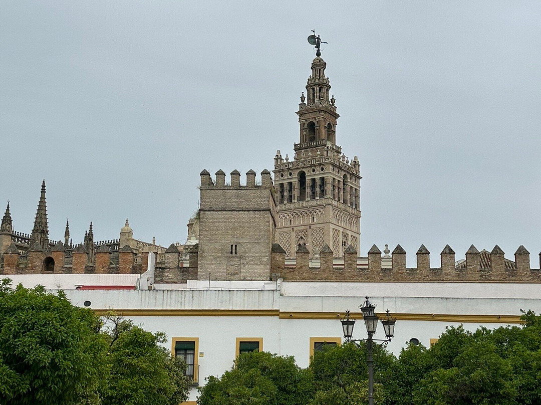 Free Tour Seville | Guruwalk-塞维利亚必去景点