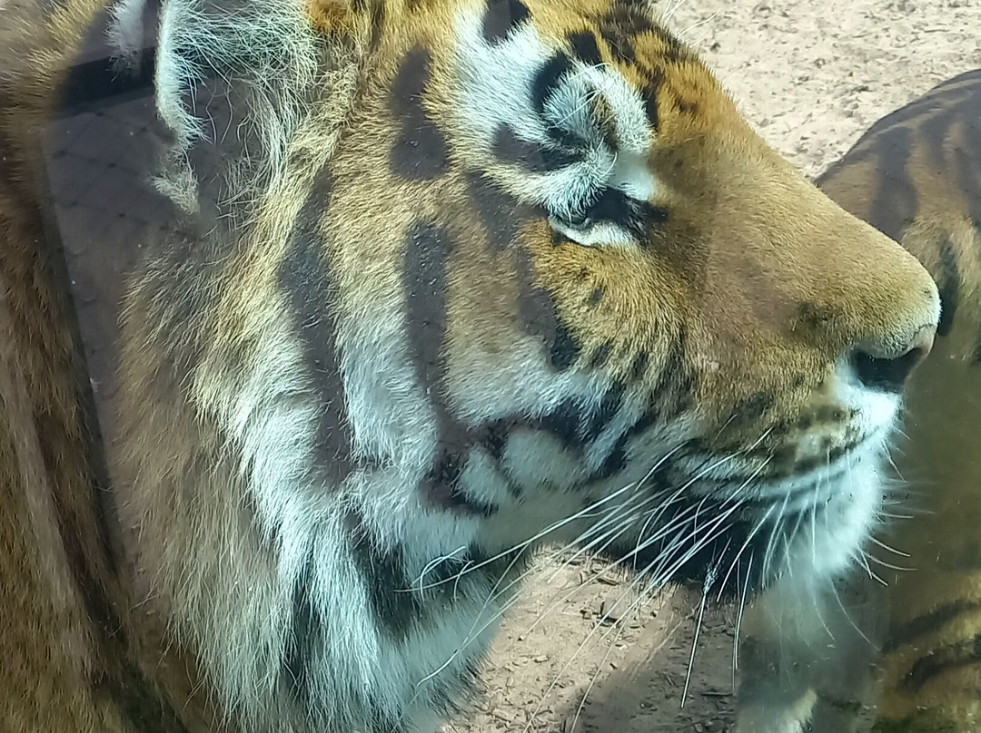 Zoo de La Palmyre-La Palmyre-Les Mathes必去景点