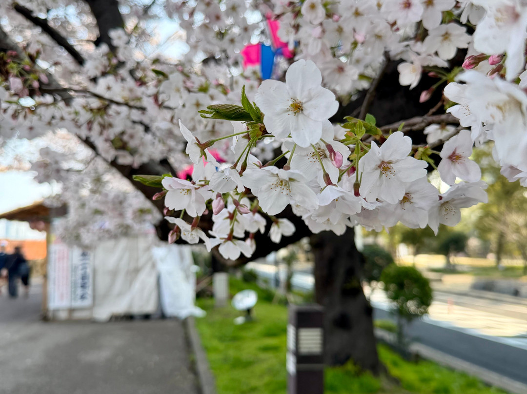 隅田公园-Mukou-jima必去景点