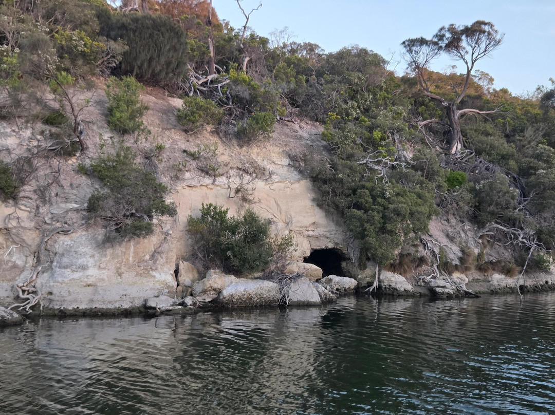 Nelson River Cruises-Nelson必去景点