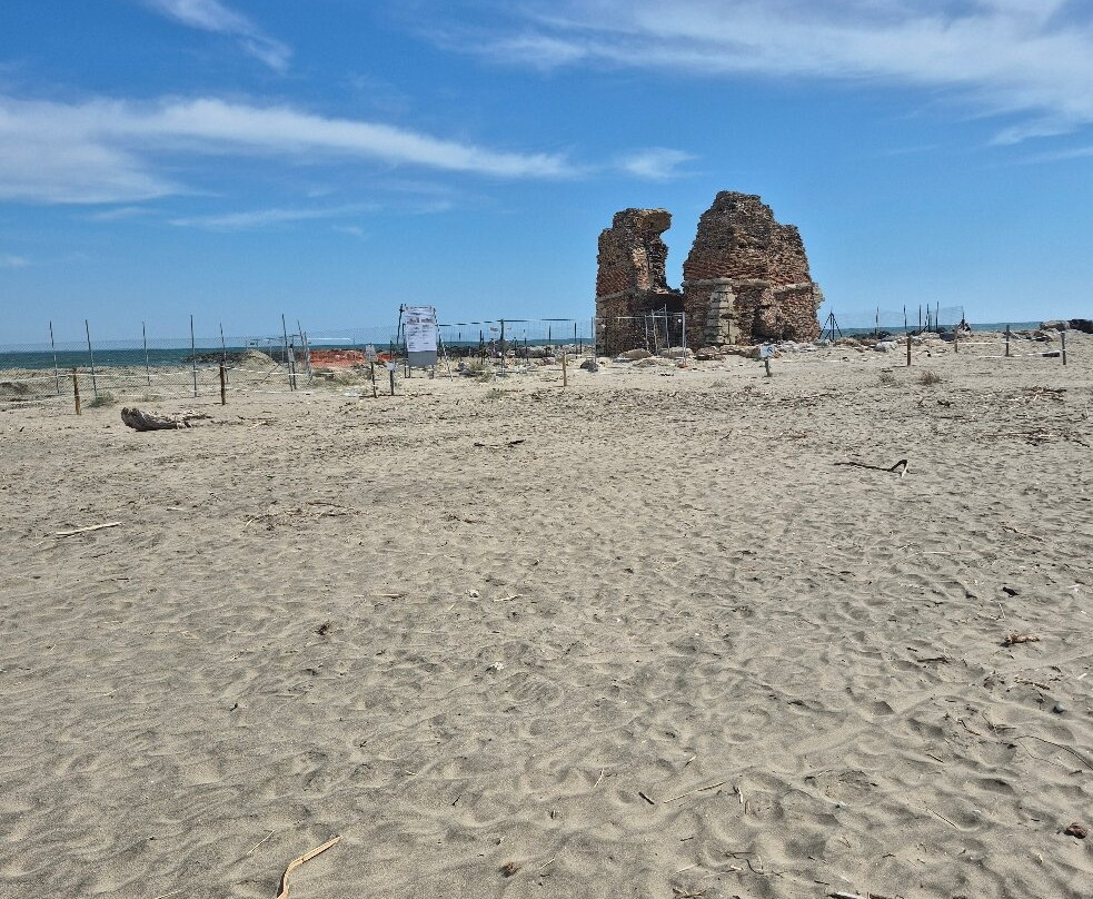 Monumento Naturale Palude di Torre Flavia-拉迪斯波利必去景点