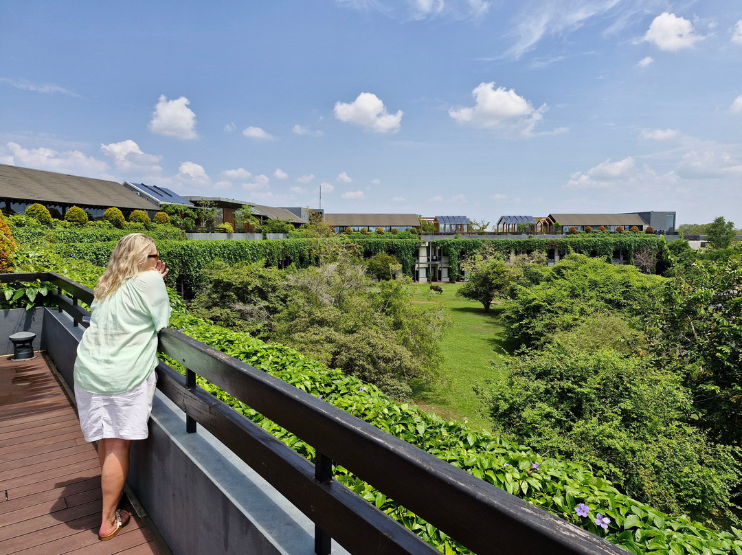 维拉维拉拉贾瓦纳希尔顿逸林度假酒店主图