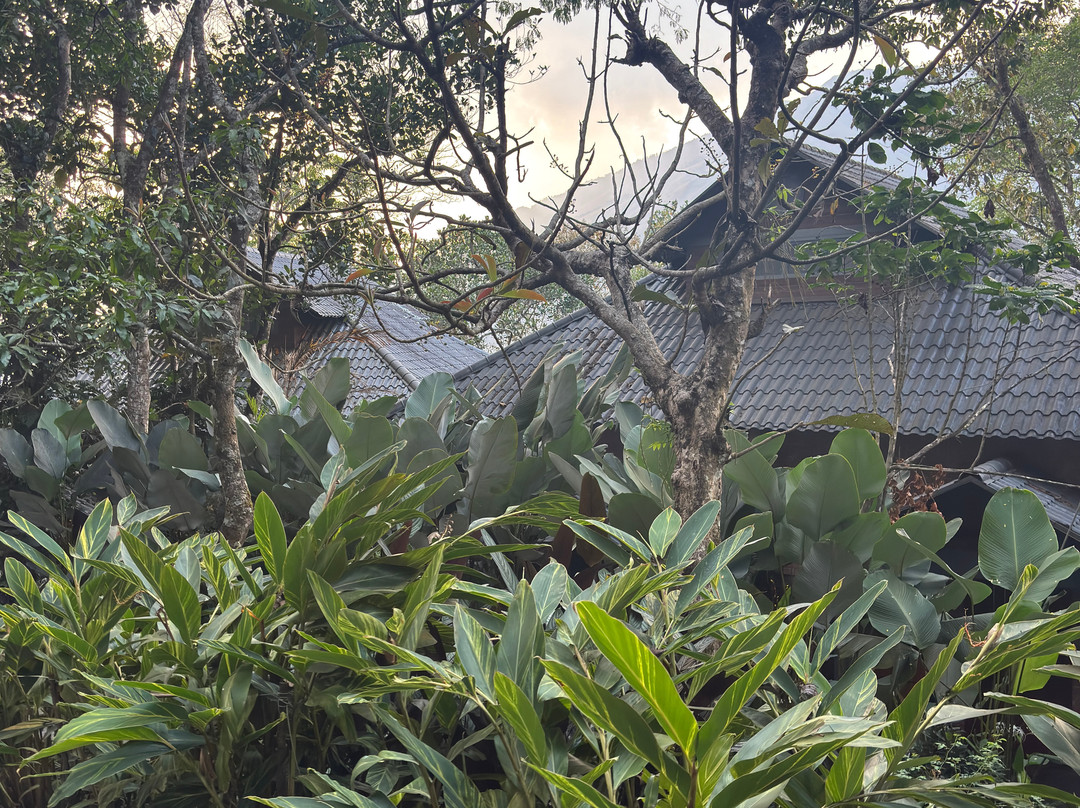 慕那尔大象通道度假村主图