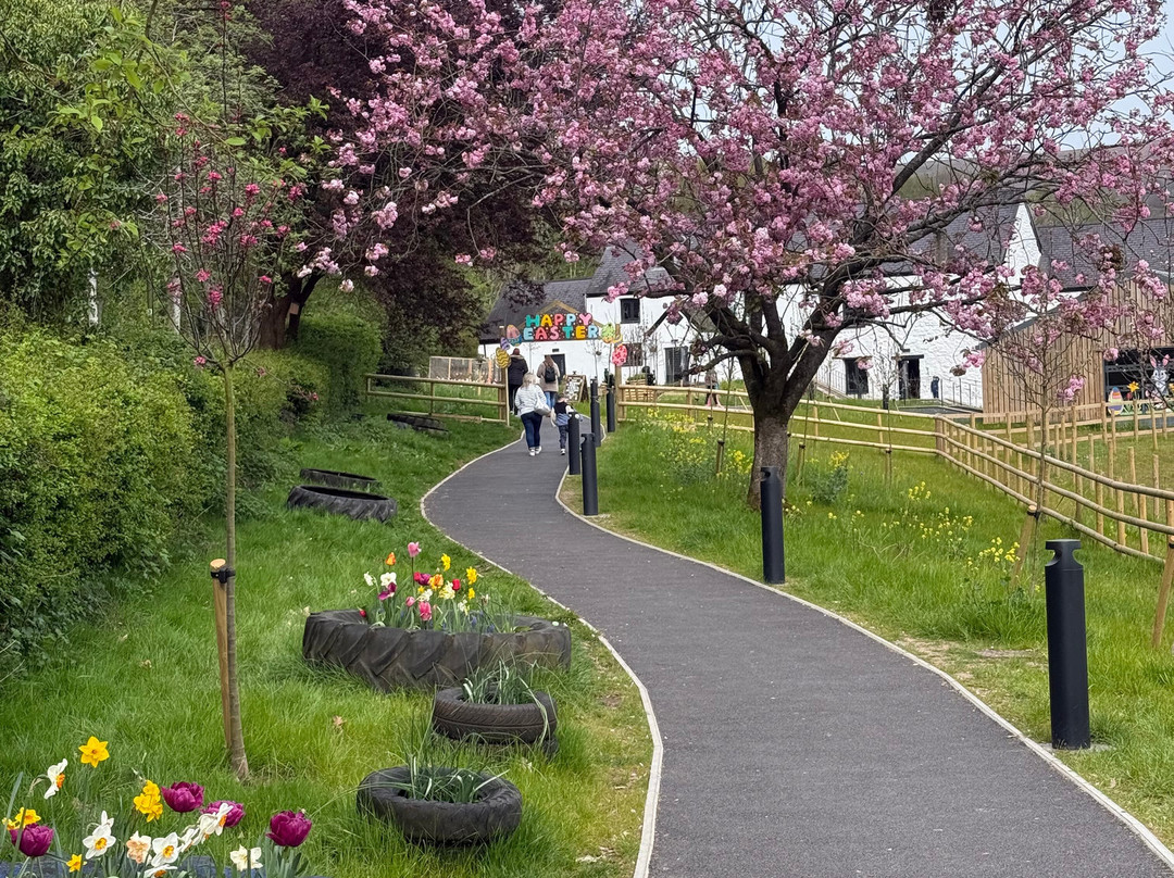 Greenmeadow Community Farm-Cwmbran必去景点