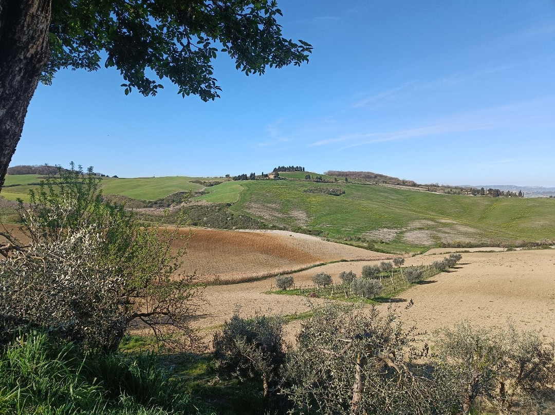 Agriturismo la Casellina