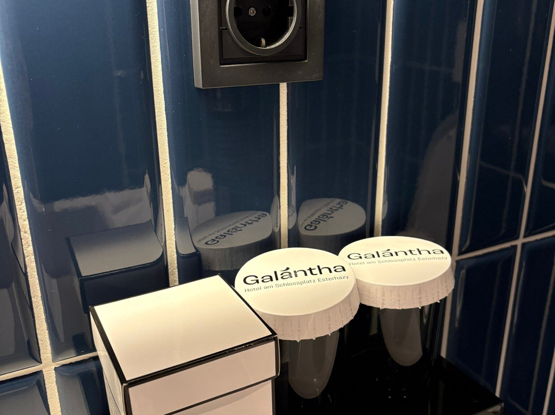 Hotel Galántha主图