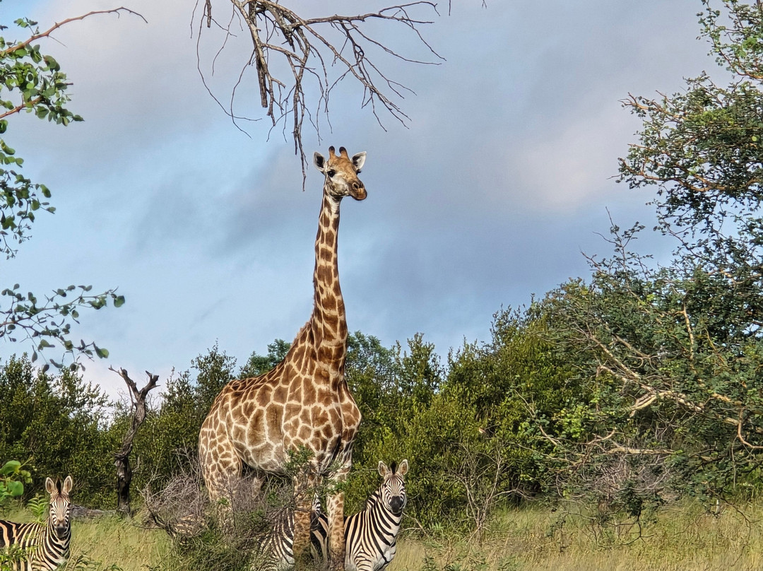 Wild Wings Safaris-克鲁格国家公园必去景点