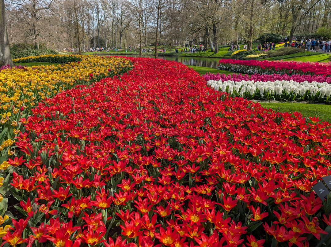 库肯霍夫-利塞必去景点