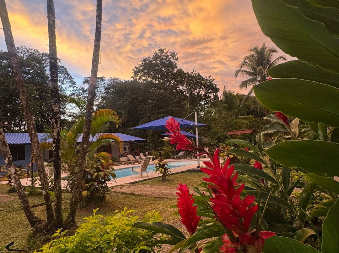 Papagayos Beach Hotel主图