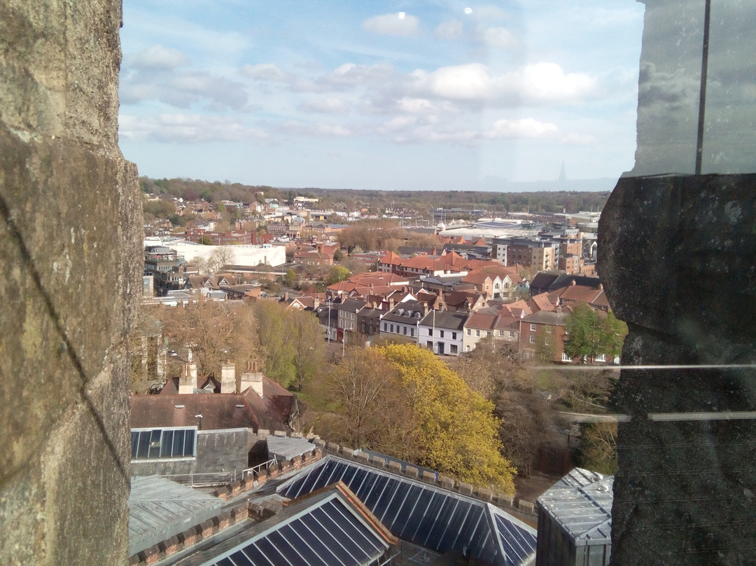 Norwich Castle Museum & Art Gallery-诺威奇必去景点